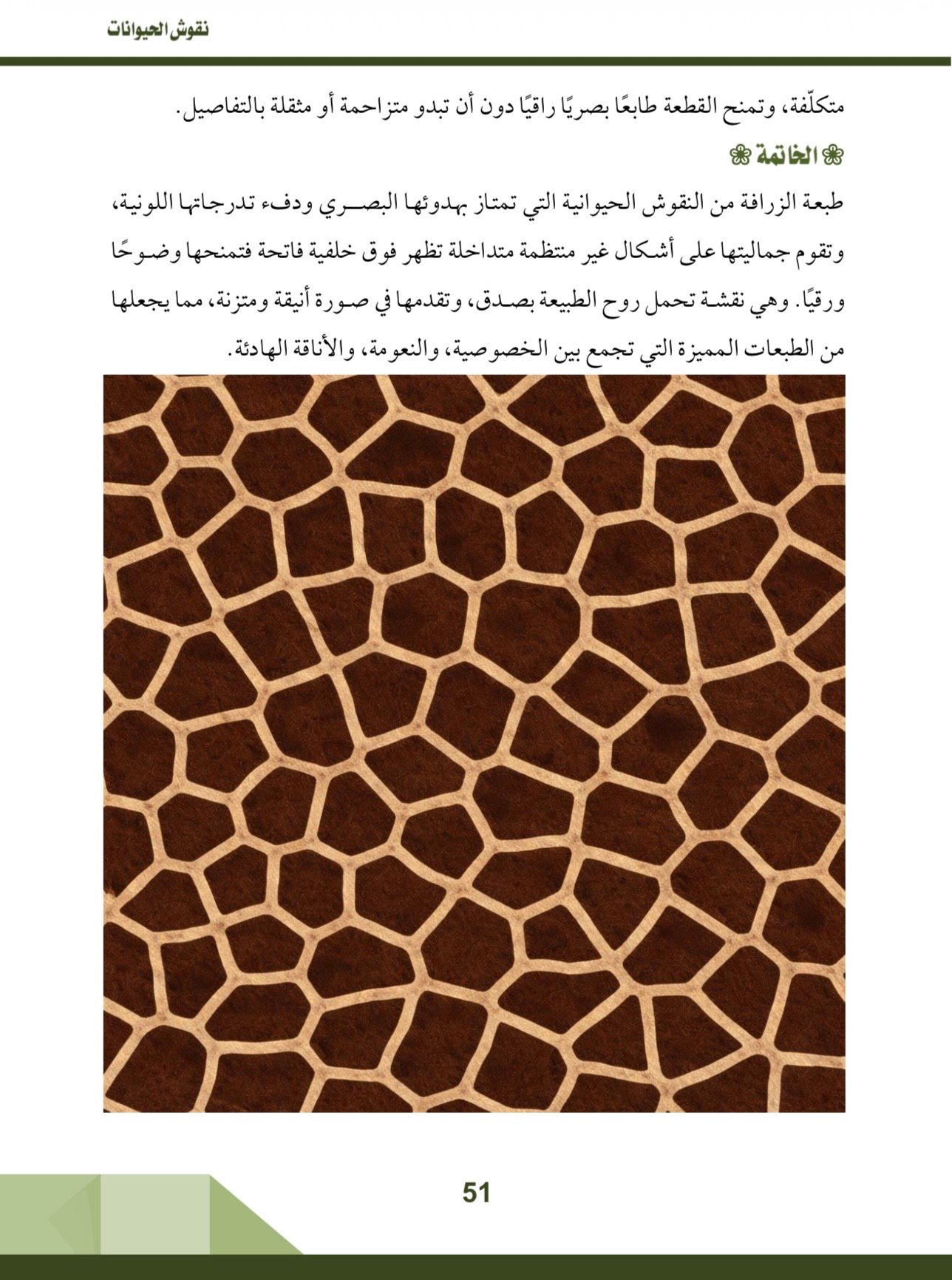 صفحة 6