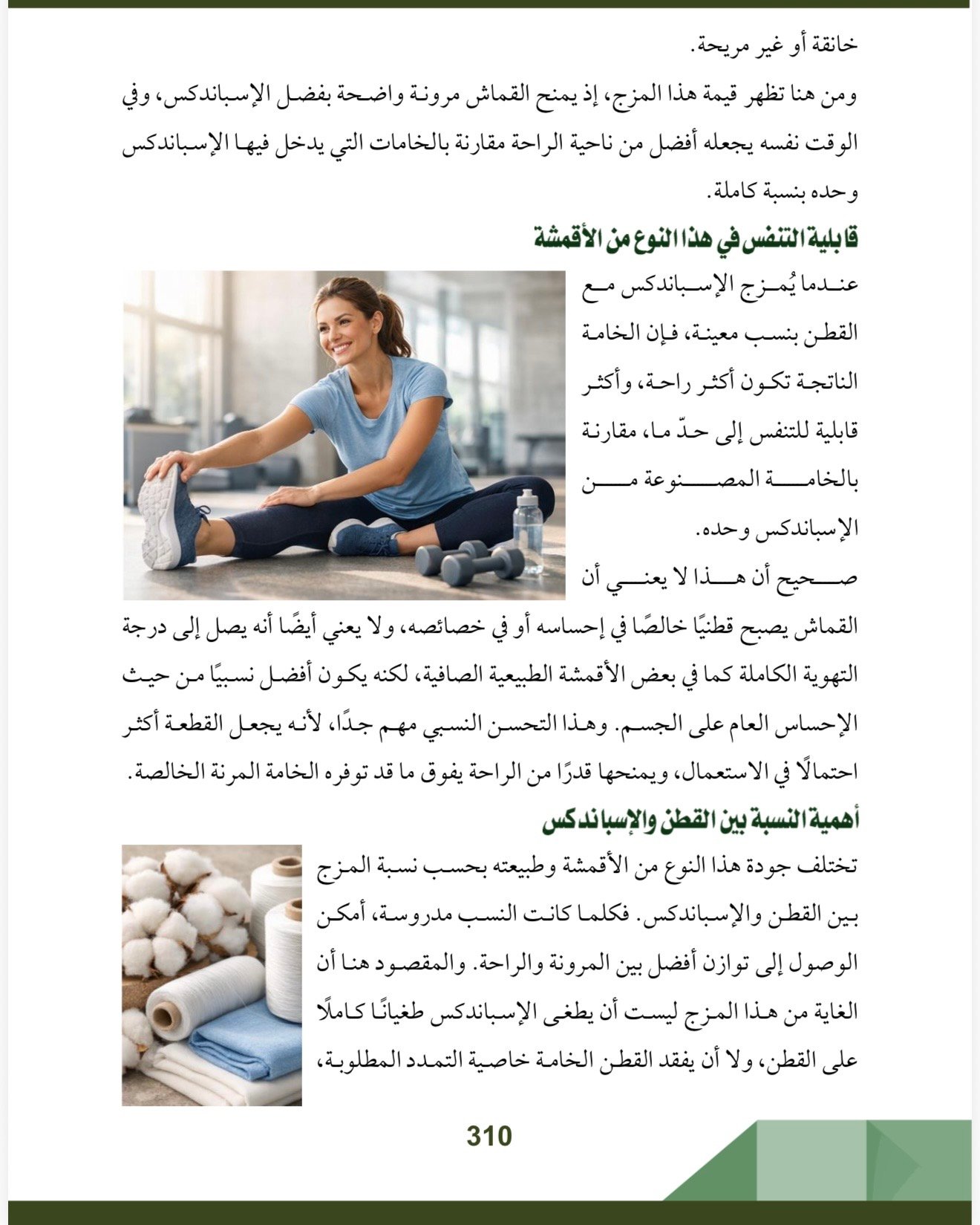 صفحة 13